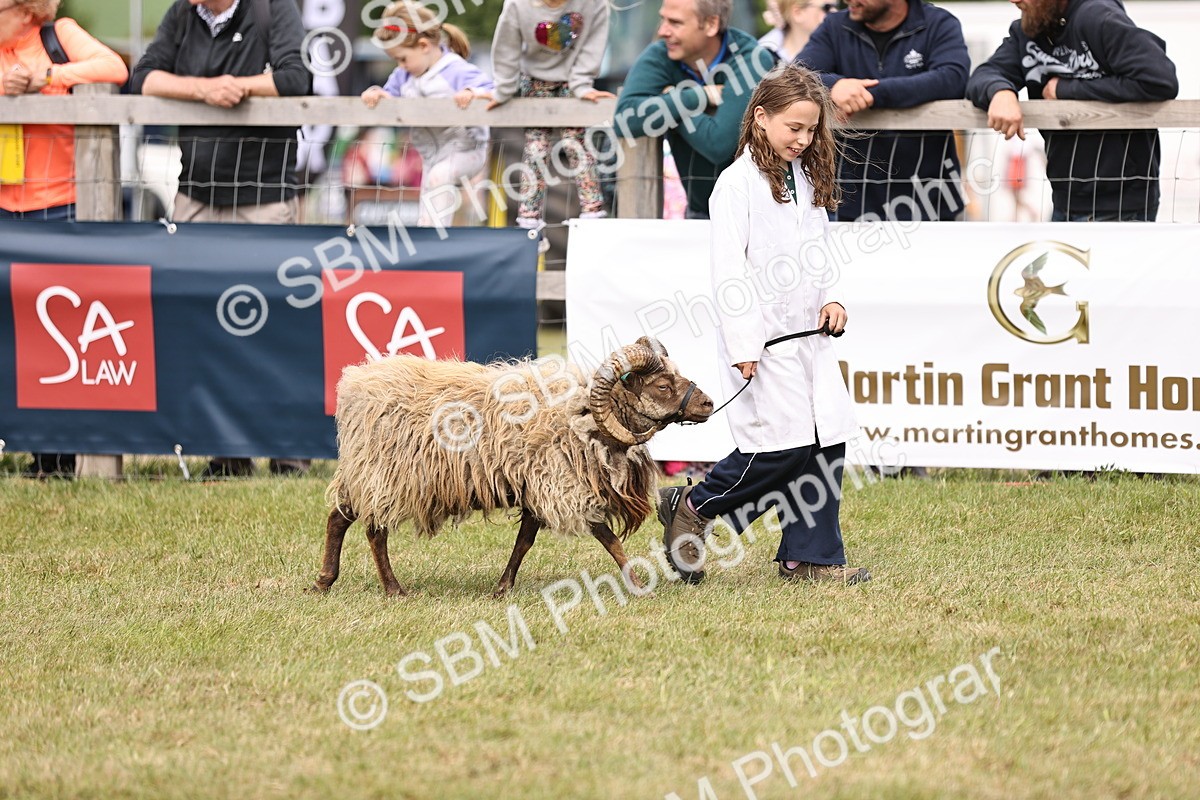 SBM_16852 - Grand Parade