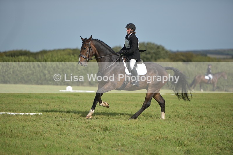RAY_7955 - Class 2B: Trekenning Open: Dressage