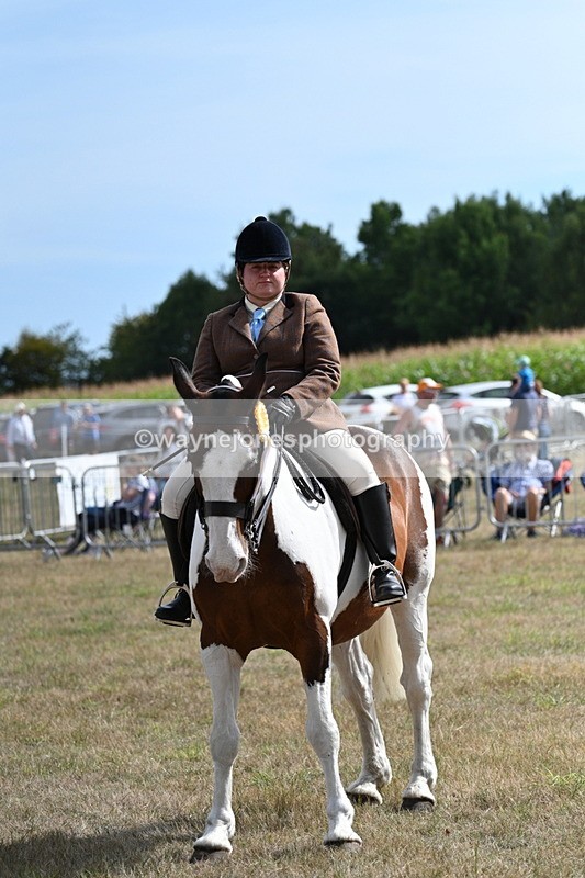 WJ7_7408 - Class 14 Ridden Coloured