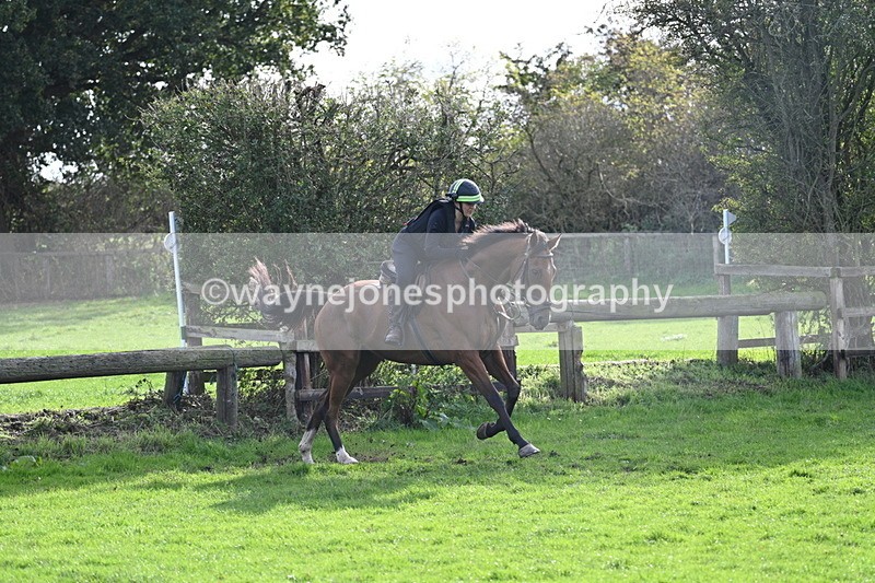 WJ7_0976 - Time 14:27 to 15:11