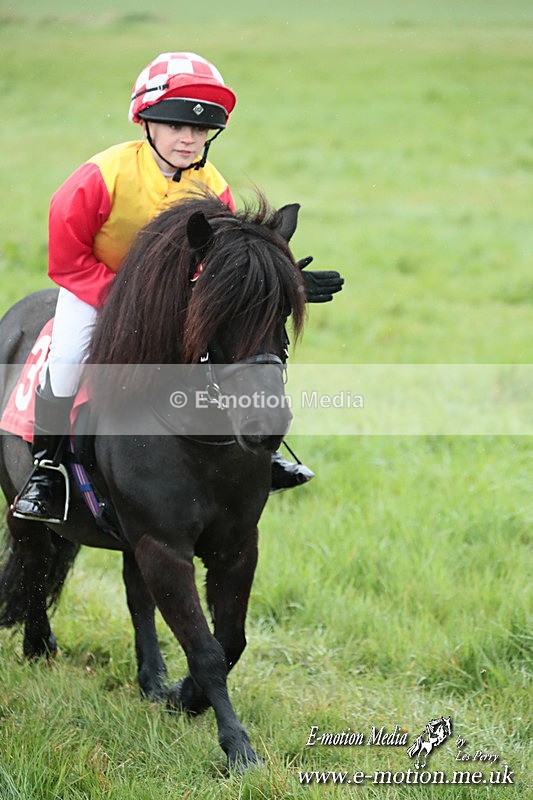 SHETPR 210425 148 - Shetland Ponies Paxford Races 21/04/25