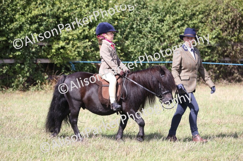 20260906-2745 - Class 25 - Absolute Beginners Pony