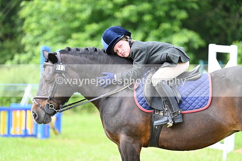 WJ7_0936 - Class 8 First Rally Pony