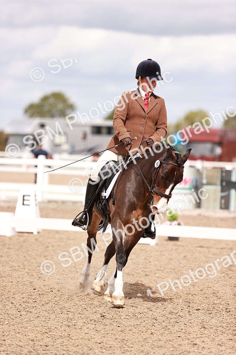 SBM_06224 - Class 37 - Novice 5