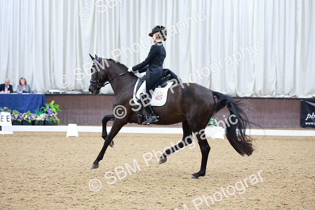 SBM_021199 - Class 14 - FEI Grand Prix - 17.40-18.34