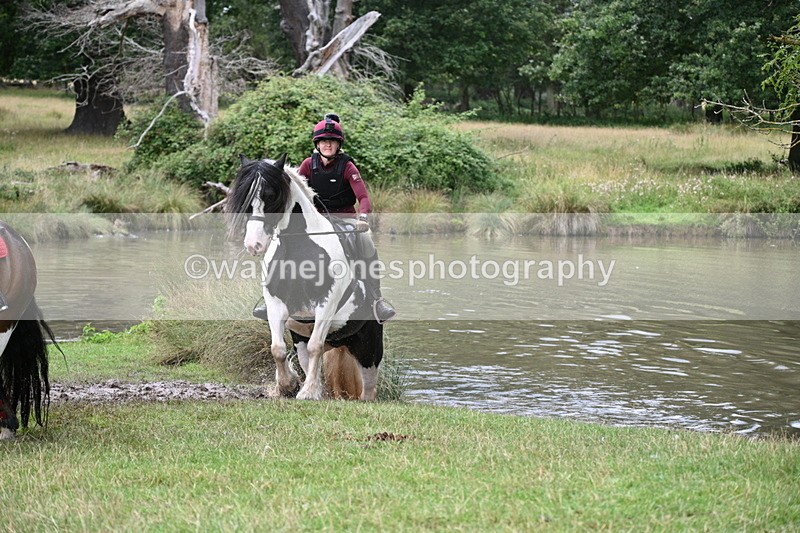 WJ7_5009 - Time at Water 14:00 to 14:53