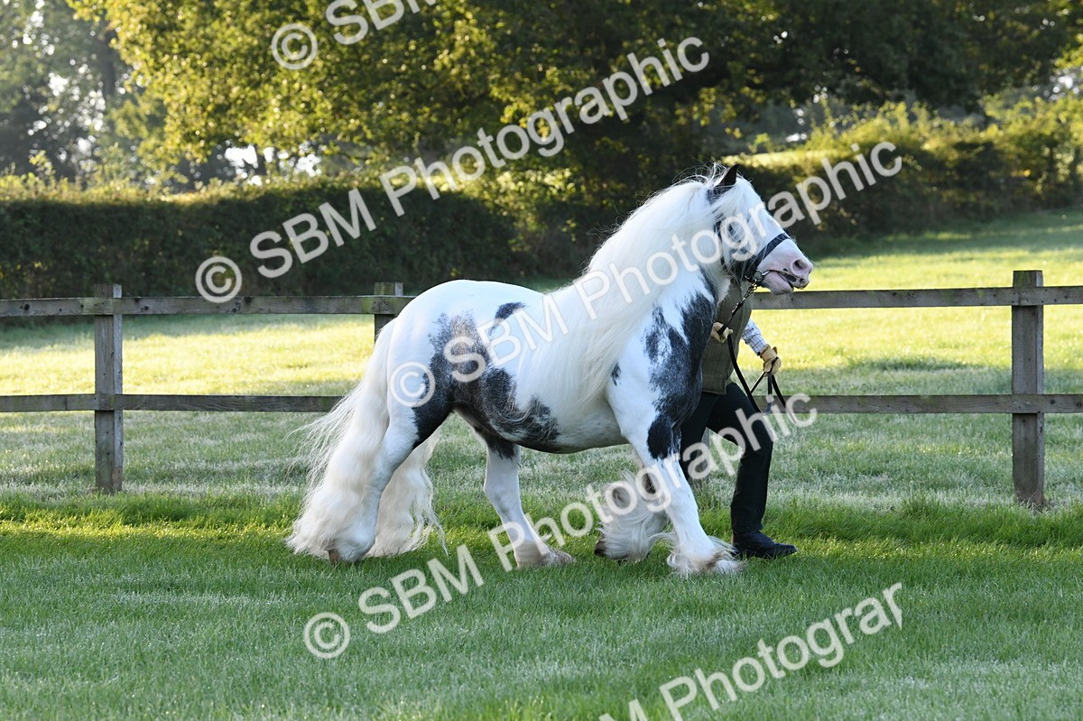 SBM_32554 - S15 - Condition & Turnout In Hand