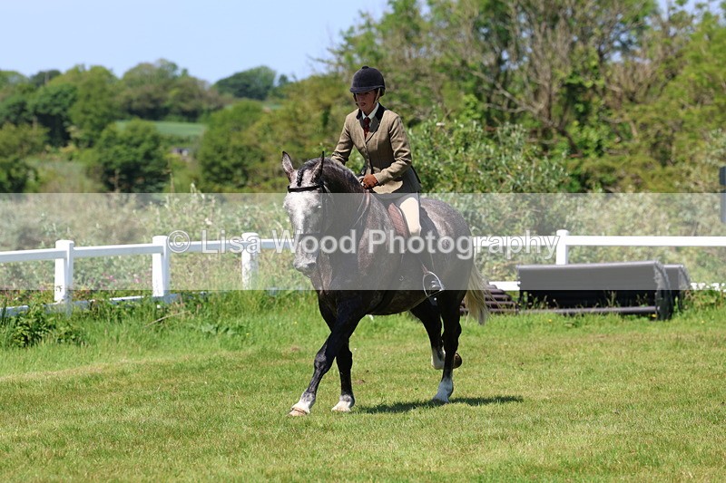 3E7A8397 - Class 13: Ridden Hunter