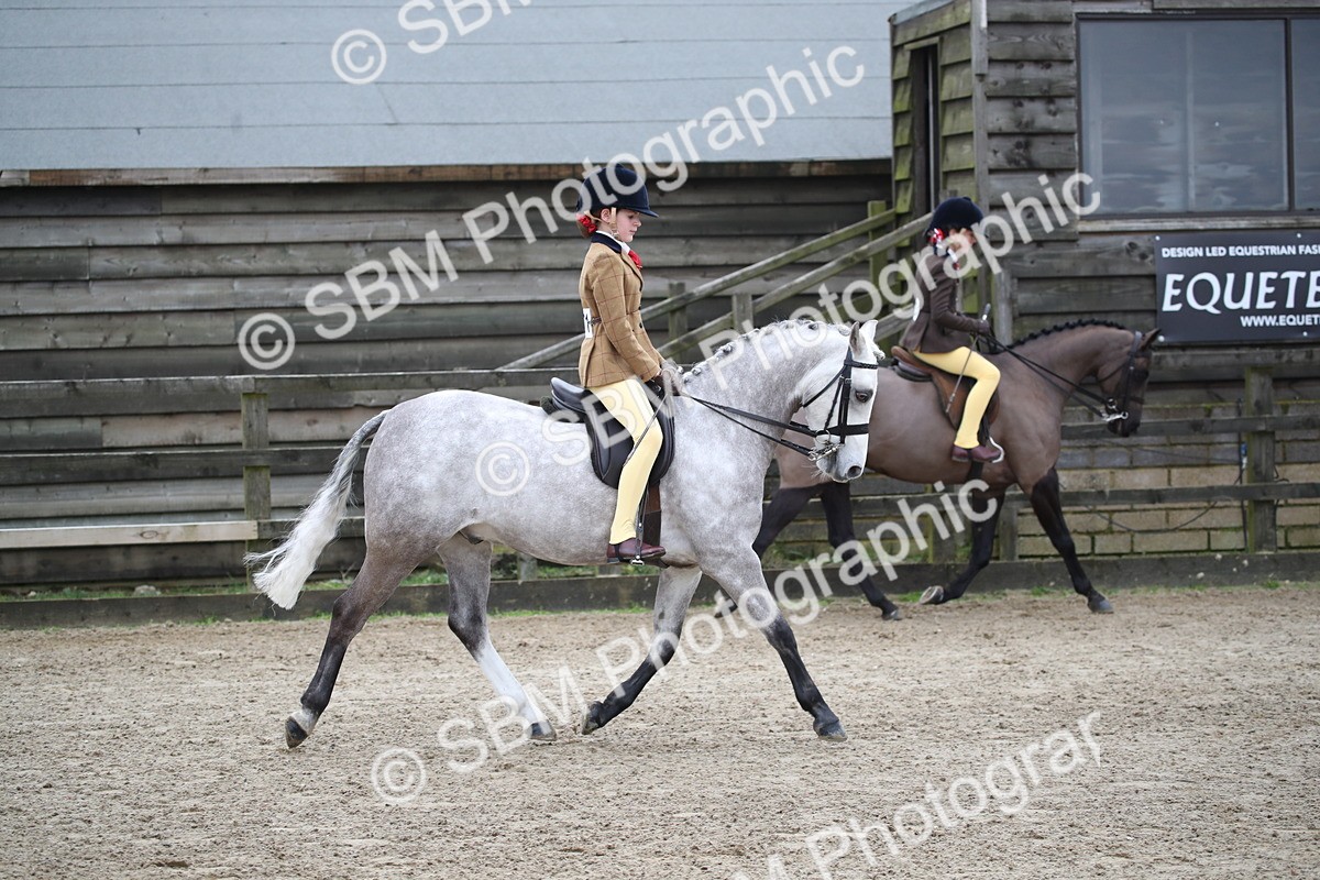 SBM_004645 - Class 5-9 - NPS In Hand-Show Hunter-Intermediate Ridden Inc Ridden Championship
