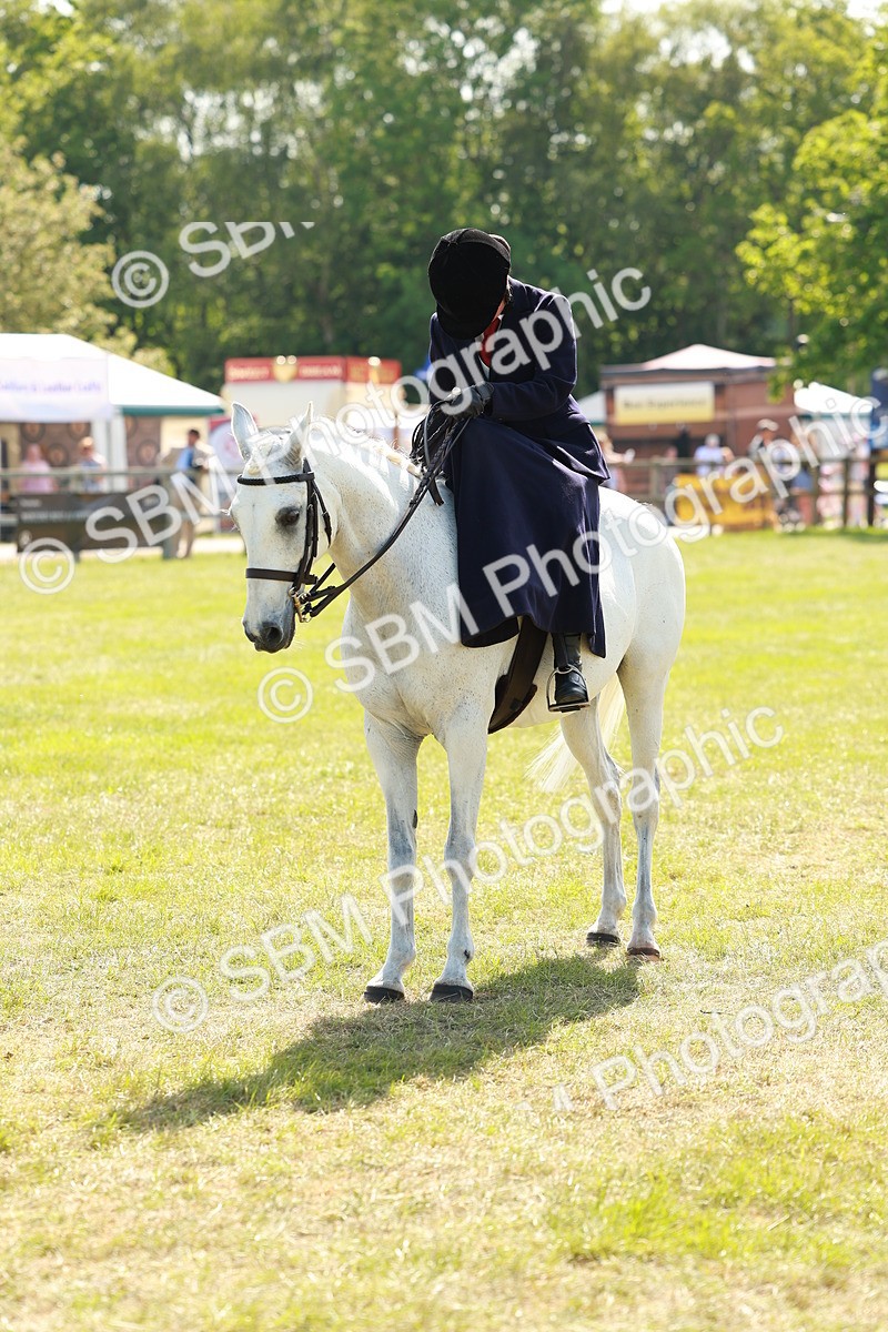 SBM_13188 - Class 70-71 - Side Saddle