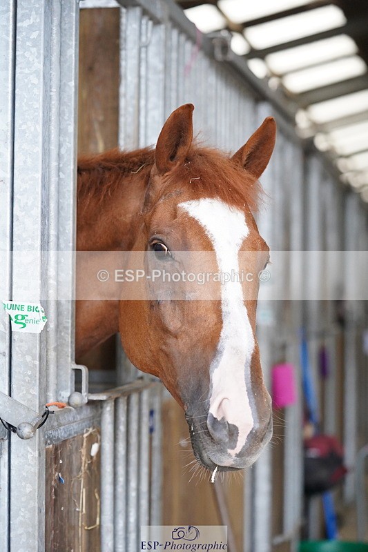 240809A-134644-01017 - Stable Shots