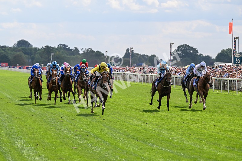 220826-Race 2-Infraad-9754 - Race 2 14.25pm Sky Bet Melrose Handicap