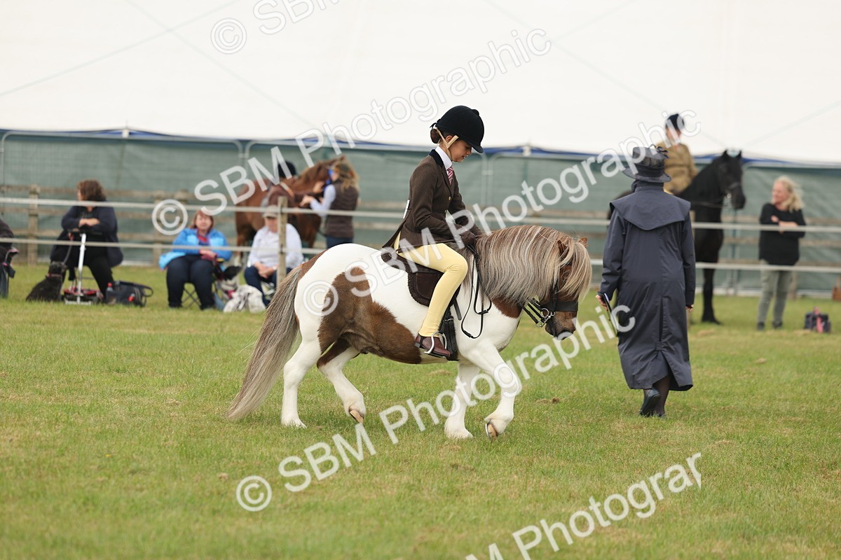 SBM_08898 - Class 78-80 - Ridden M&M Non Welsh Ponies