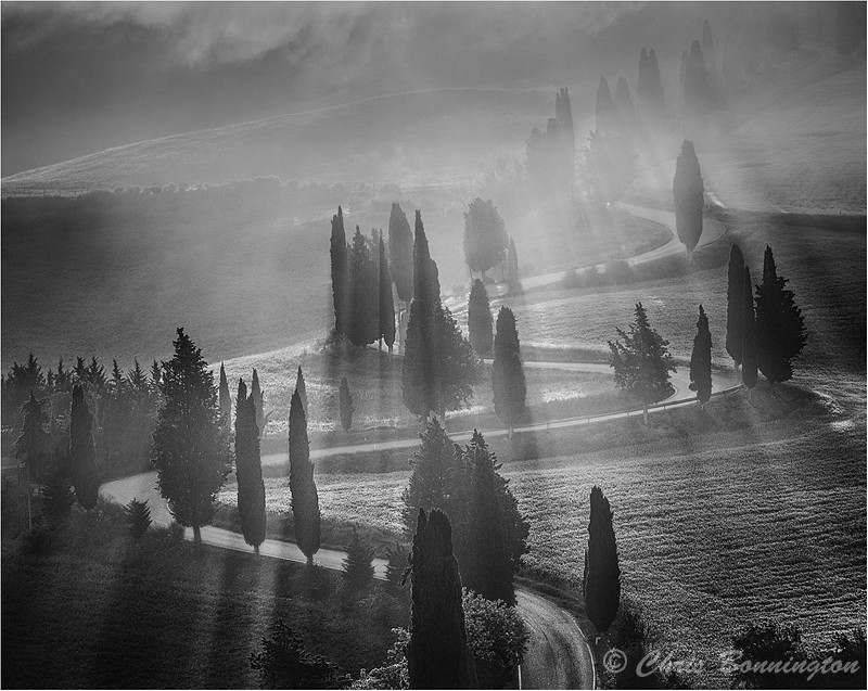 Winding into the mist - Landscapes - Mono