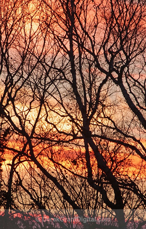 November Twilight - Sunset/Moonrise