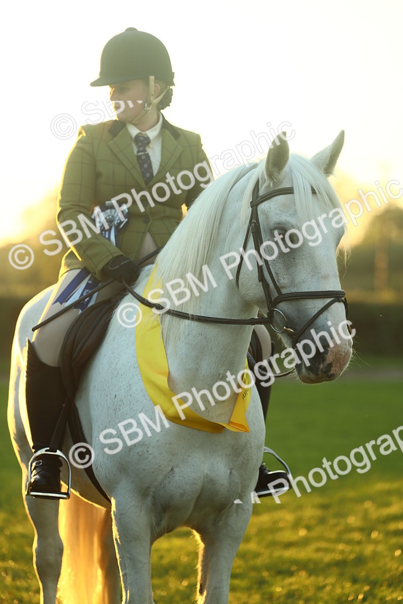 SBM_56700 - Fun & Versatile Supreme Championship