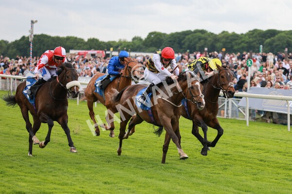 yr21052022r1-25 - Race 1: 1:40pm William Hill Play Responsibly Stakes