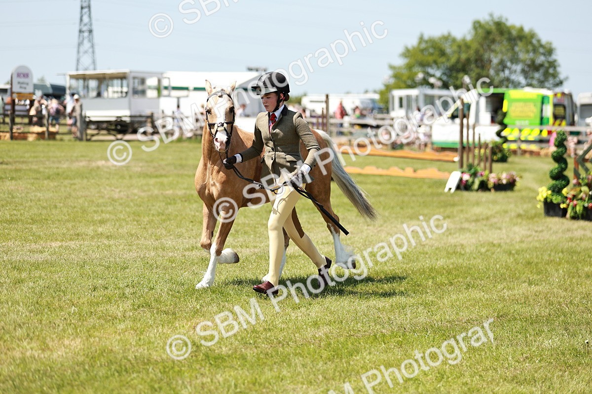 SBM_15705 - Class 108-109 - BSPS LIHS Open Gradle & Nursery Stakes