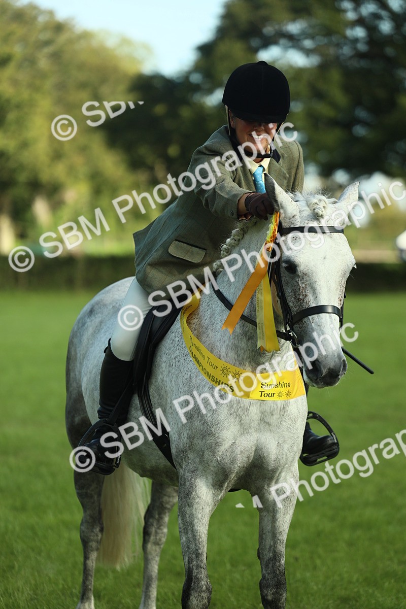 SBM_49919 - S32 - Novice & Newcomers Working Hunter