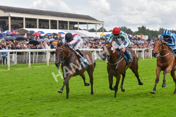 150723-Race 4-Hamish-8711 - Race 4 3.45pm John Smith's Silver Cup Stakes