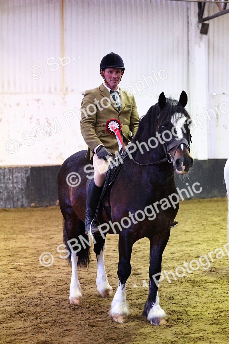 SBM_006638 - Class 43 - RIHS Qualifier Exceeding 43cms