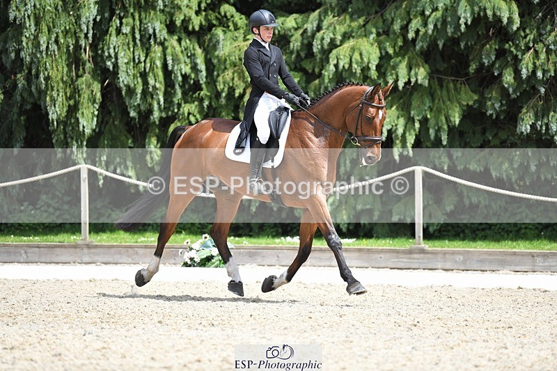 230525-140727-03092 - 318-JUST_HAVE_FAITH_TN-Alfie_Marshall-WEDTrotUp+DR