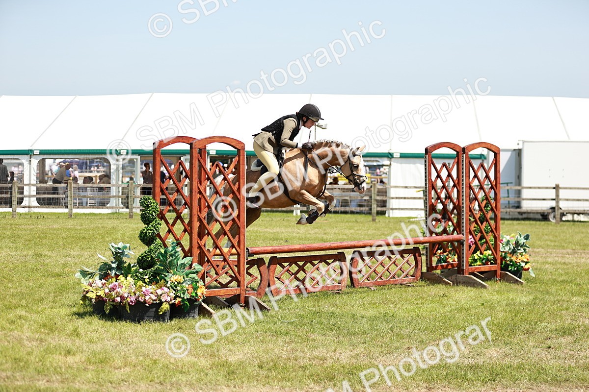SBM_15662 - Class 108-109 - BSPS LIHS Open Gradle & Nursery Stakes