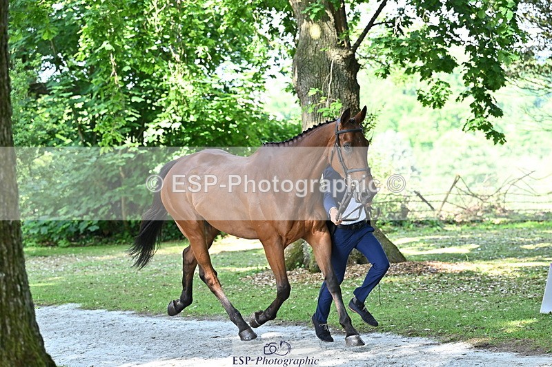 250521A-162123-01082 - C-216-Harrison.Chart-MY.KIND.OF.LADY