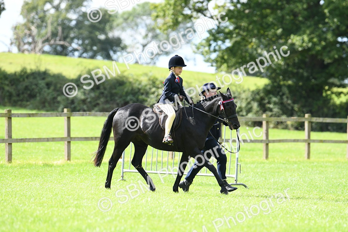 SBM_41146 - S19 - Lead Rein Show & Show Hunter Pony