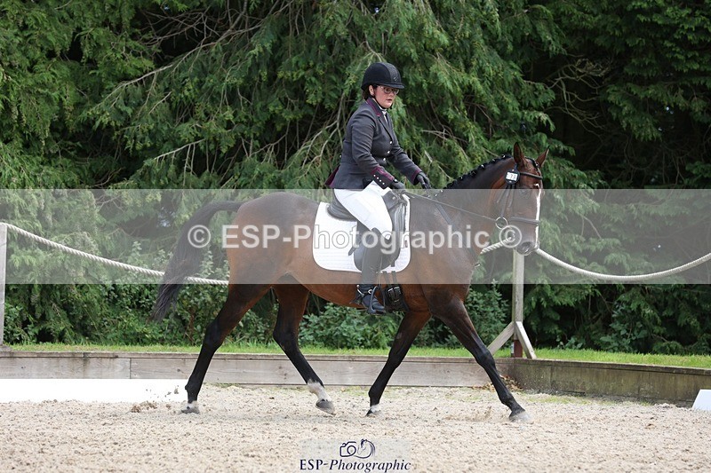 230812-135745-04351 - Cls 5 Novice Bronze 13.40 to 14.45 break