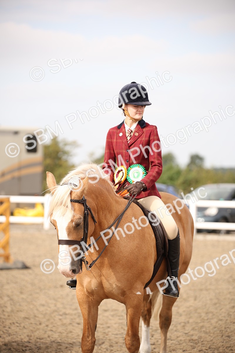 SBM_16241 - Class 409a - Working Veteran 80cm (15-19)