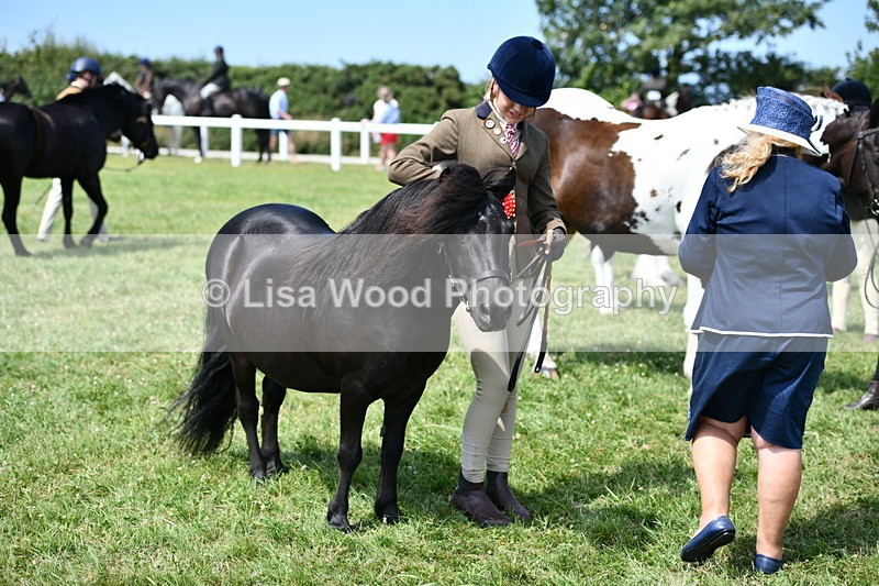 DSC_8208 - Class 67: Child Handler 11 - 16 years