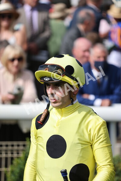 yr18082021r4-11 - Race 4 3.35pm Juddmonte International Stakes (British Champion Series race)