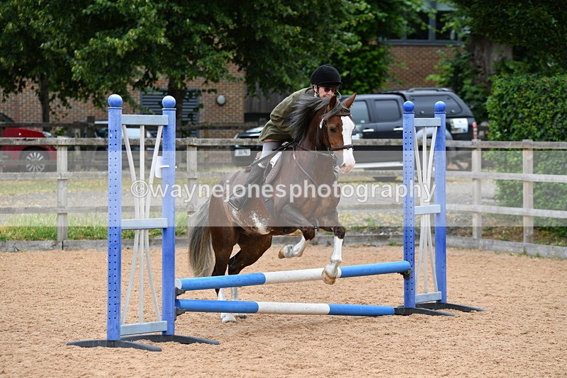 WJ5_6292 - Club 50cm