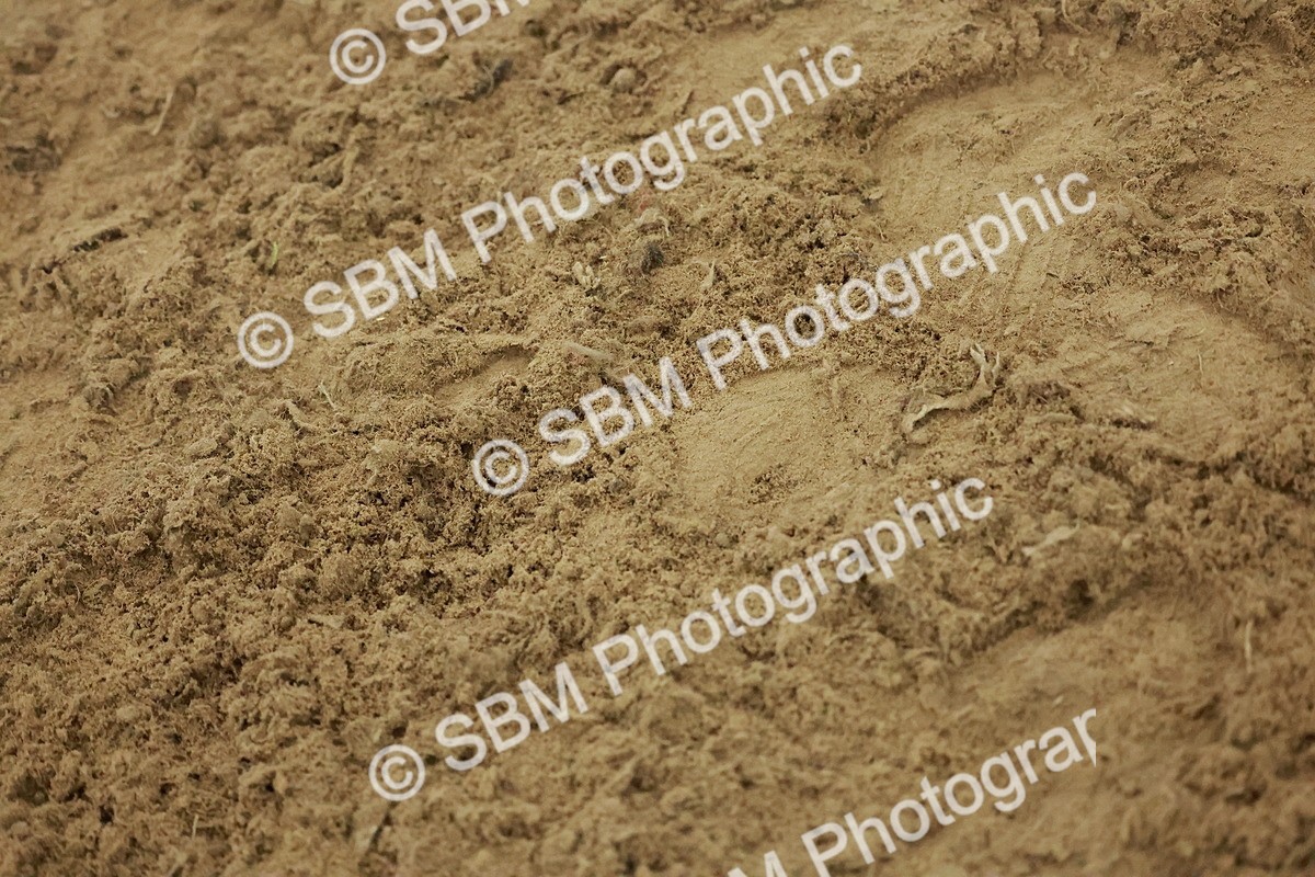 SBM_004962 - Class 6 - Chase Me Charlie