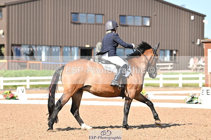 240816A-163419-06205 - 197-Karen.Martin-Furzeylodge.Weatherwax