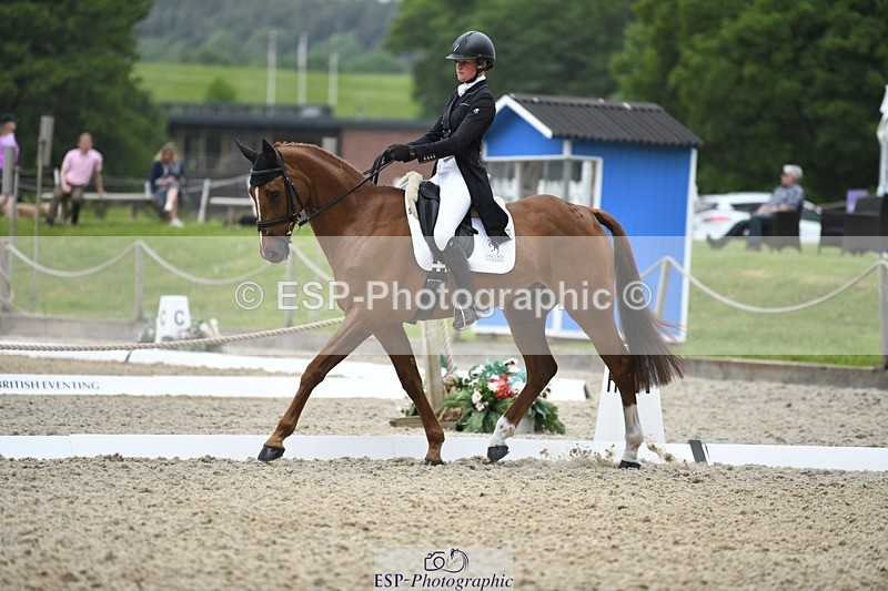 230525-125935-02073 - 113-I'M_A_WONDER-Rosie_Fry-WEDTrotUp+DR