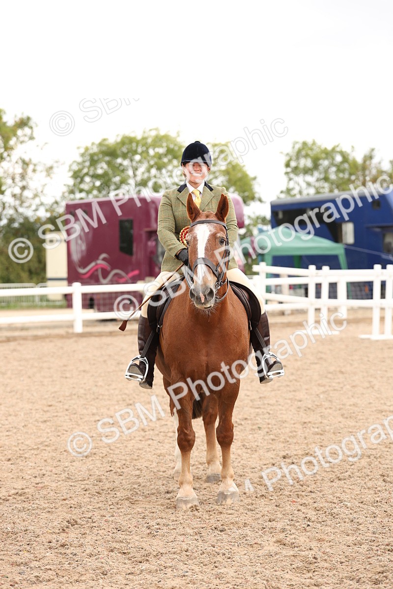 SBM_19603 - Class 215 - Ridden Show cob