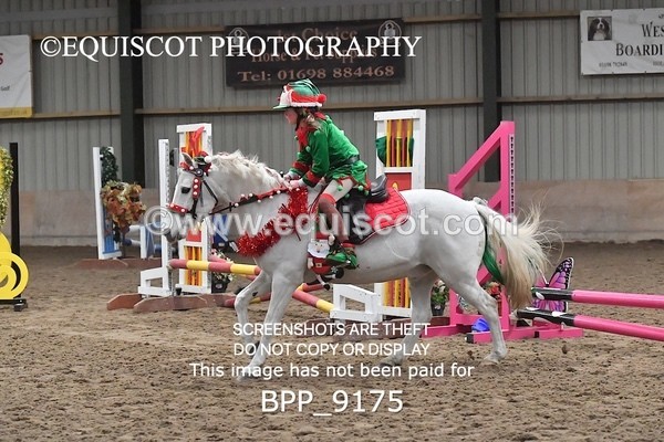 BPP_9175 - CLASS 4 50CM Novice Show Jumping