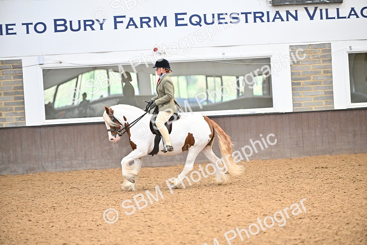 SBM_002651 - Class 28,29 - Ridden Irish & Coloured