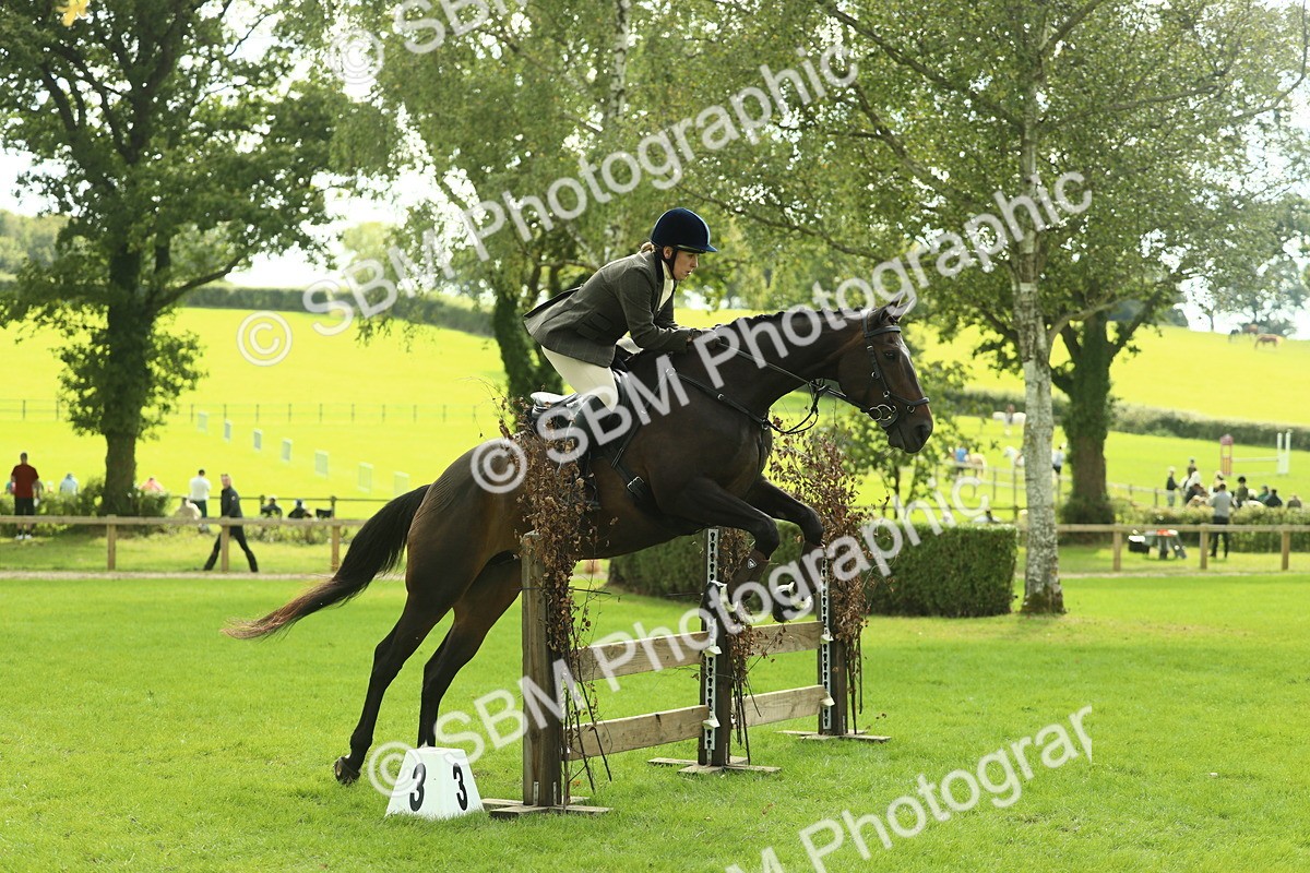 SBM_48018 - S32 - Novice & Newcomers Working Hunter