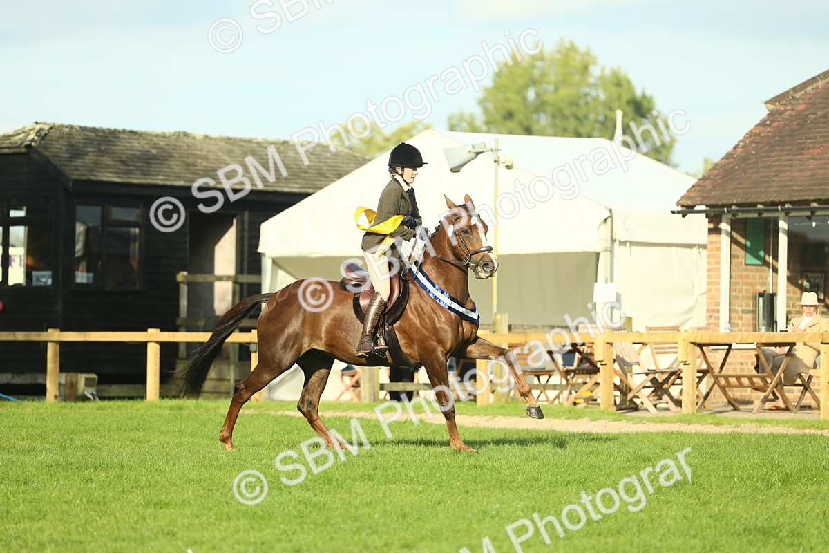 SBM_52336 - Working Hunter Supreme Championship