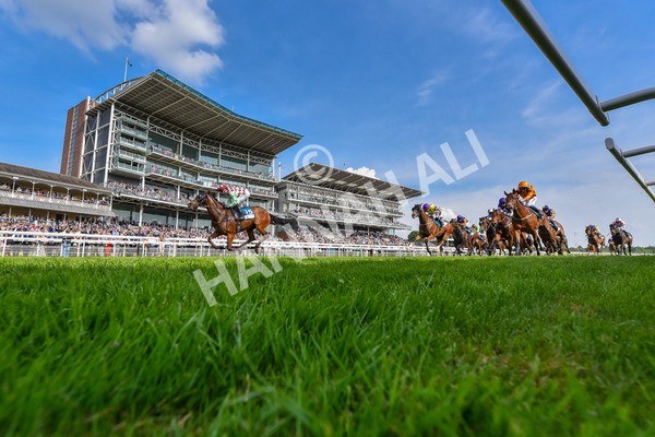 170524-Race 6-Riot-6355 - Race 6 4.45pm Yorkshire Equine Practice Handicap