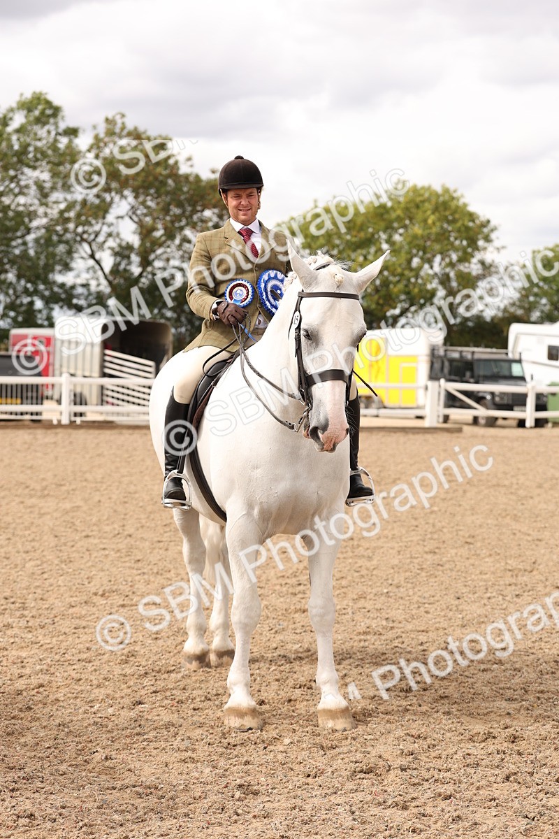 SBM_17279 - Class 213 - Ridden Hunter - Large