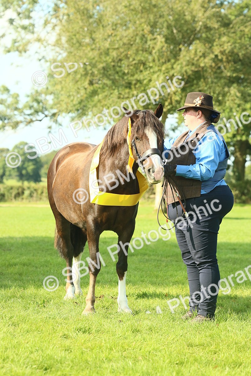 SBM_61100 - Starter Supreme Championship