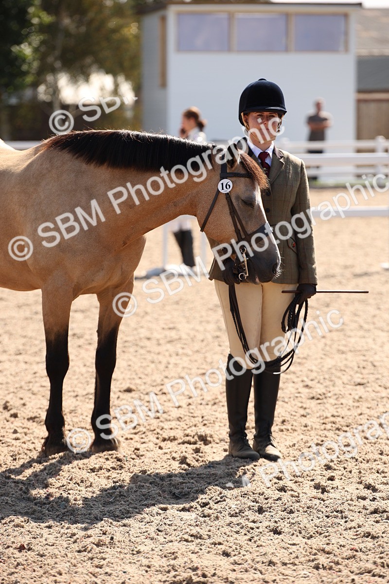 SBM_02798 - Class 16 IH M&M Wildcard