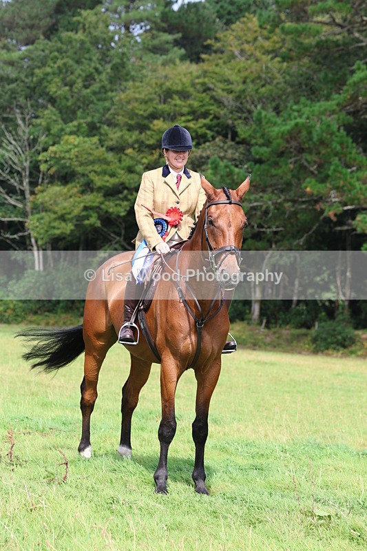 3E7A6174 - Working Hunter Championship