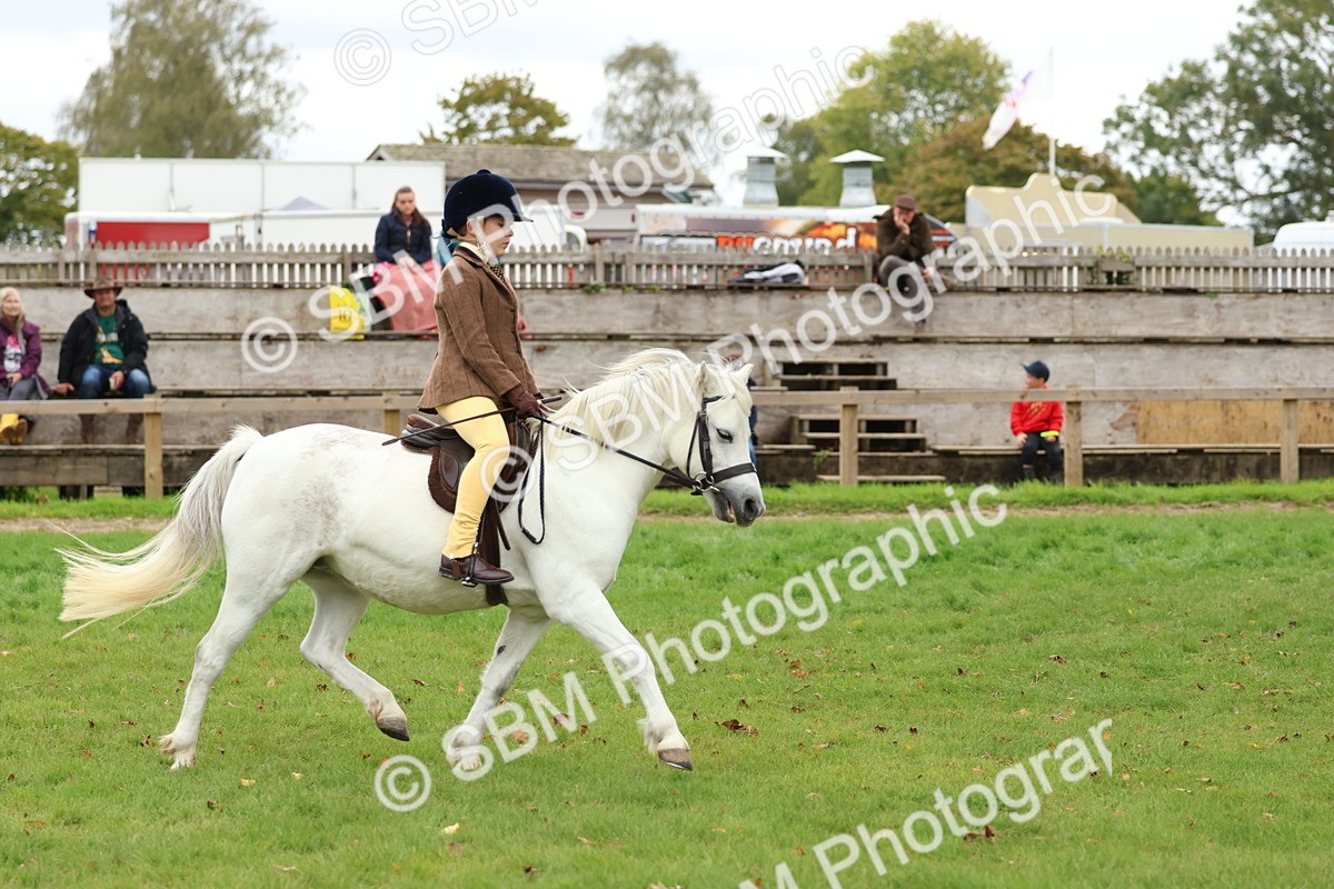 SBM_67437 - S61 - Mountain & Moorland Ridden
