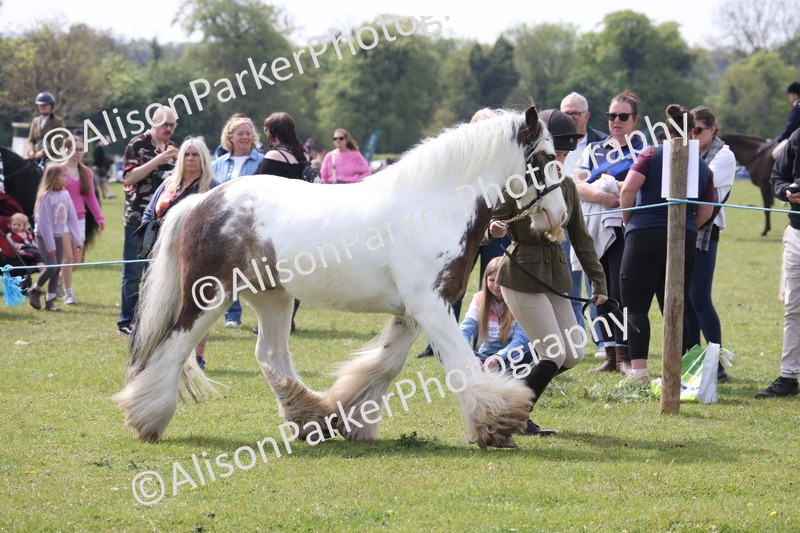 20260426-3341 - Class 27 - Coloured Horses and Ponies