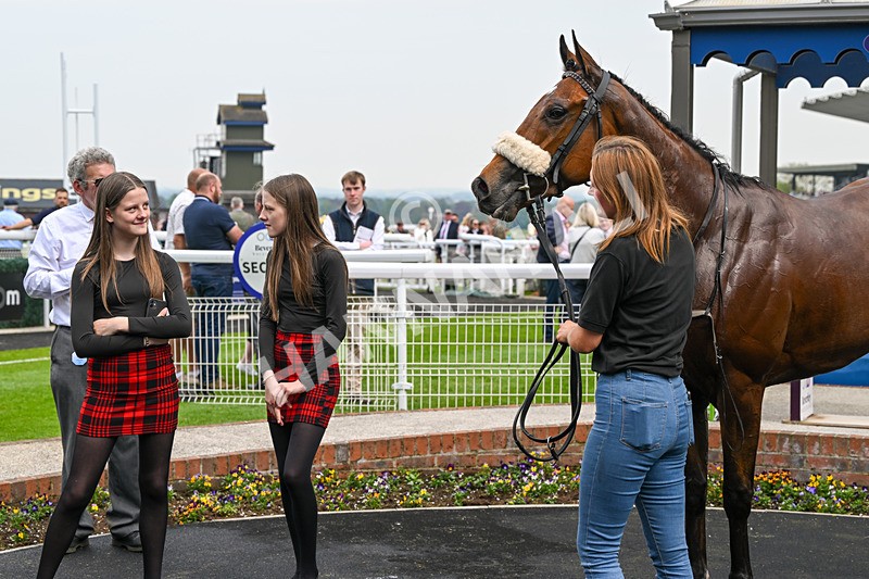 060524-Race 2-Brummell-6078 - Race 2